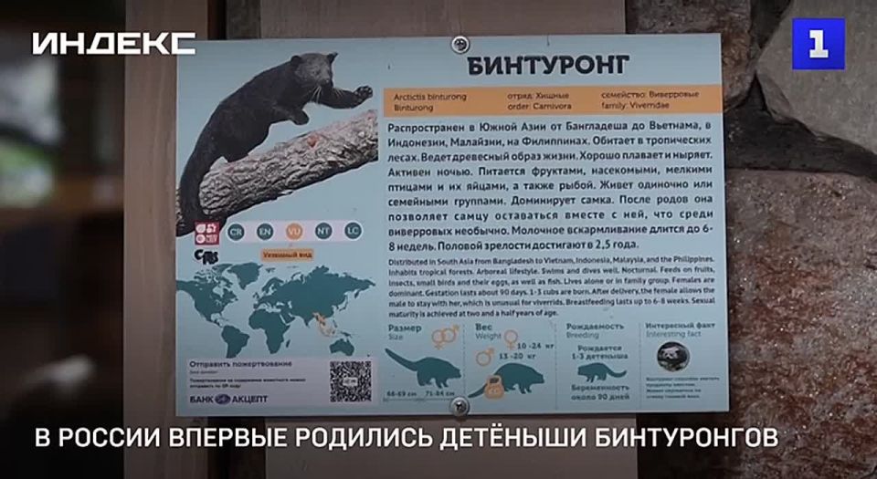 ������� � ������ �������� ������� �����������