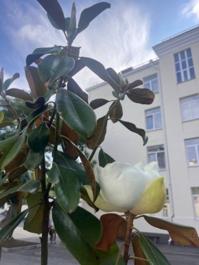        39    