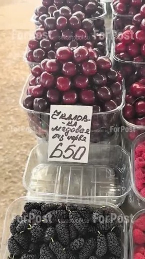 &quot;&quot;    