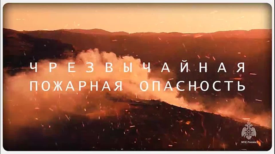� �������� � ����� ������� ����� ������������ ��������������� ���������� �� 28 ����