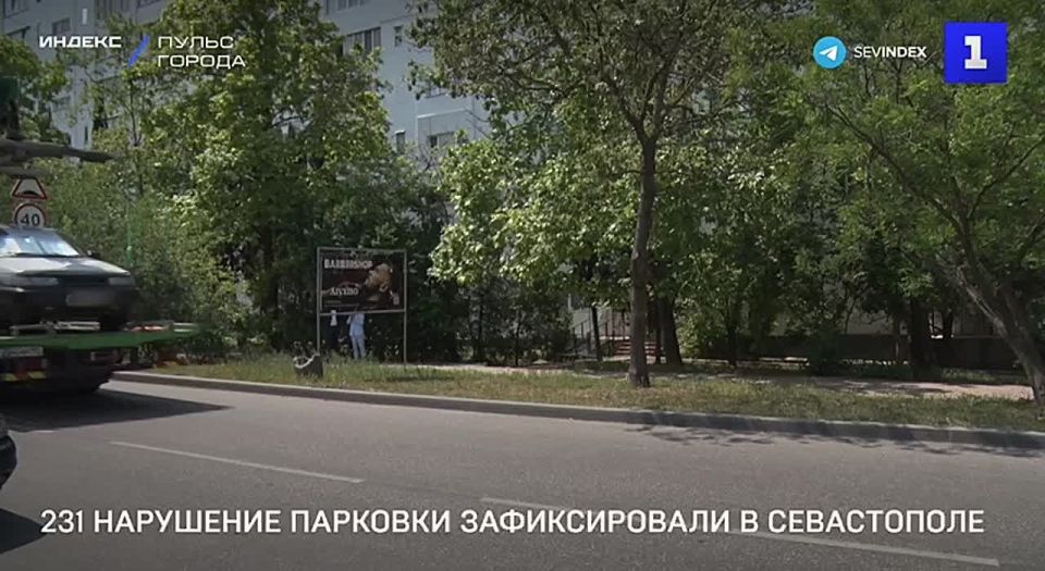 231 �������� �� ��������� �������� � ������ ���� ��������� ���������� �� ��������� � �����������