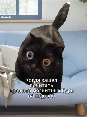       30   6 