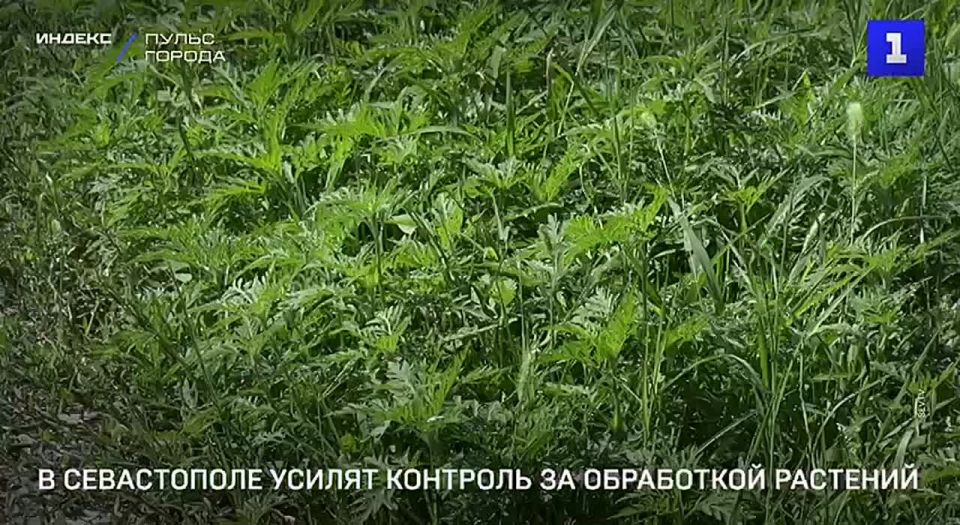 ������� �������� �� ���������� ������ ���������� � ����������� ������� ���������� ������ ���������