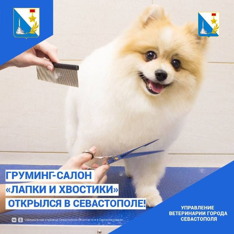 �������-����� ������ � ��������