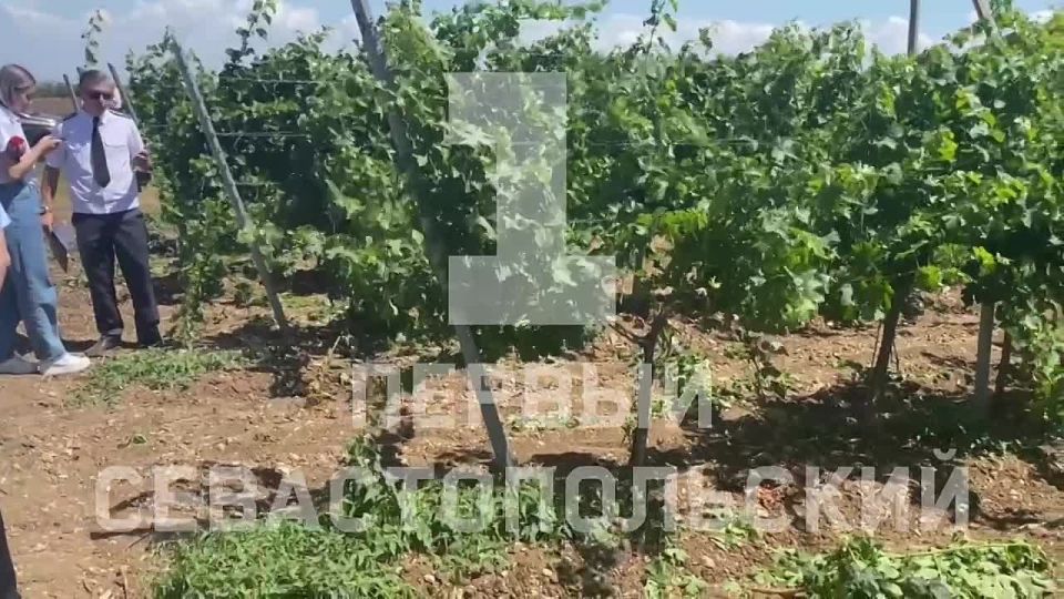 �������������� �������������, ���������� � ����������� ������, �������� � �����������