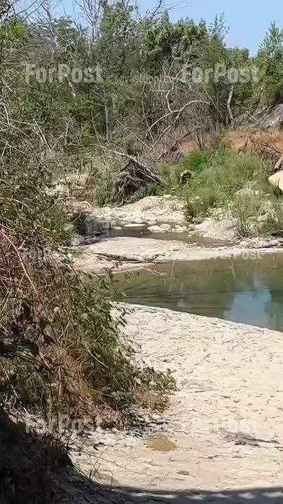 ���� ������� � ������ ���������