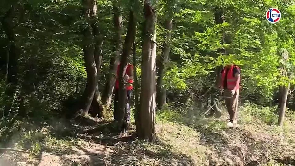 � ����������� ������������ �������������� ���������� ����������� ���