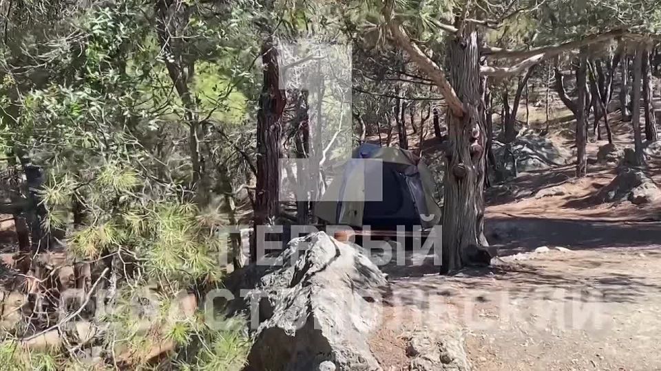 ���������� ������ �������� � ������ ����� �����