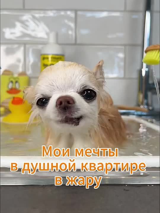 ������������� ���� ������������ � �����������: ����� ���������� � �������� �����