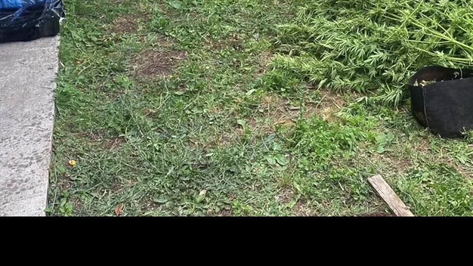 ������������� ������������ � �������������� ������ ������ �� 20 ��� ������� �������