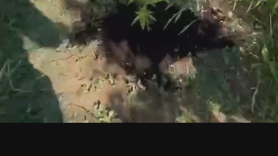 ������� ��������� ������ 20 ��� ������� �� �������� ���������� � ����� �����