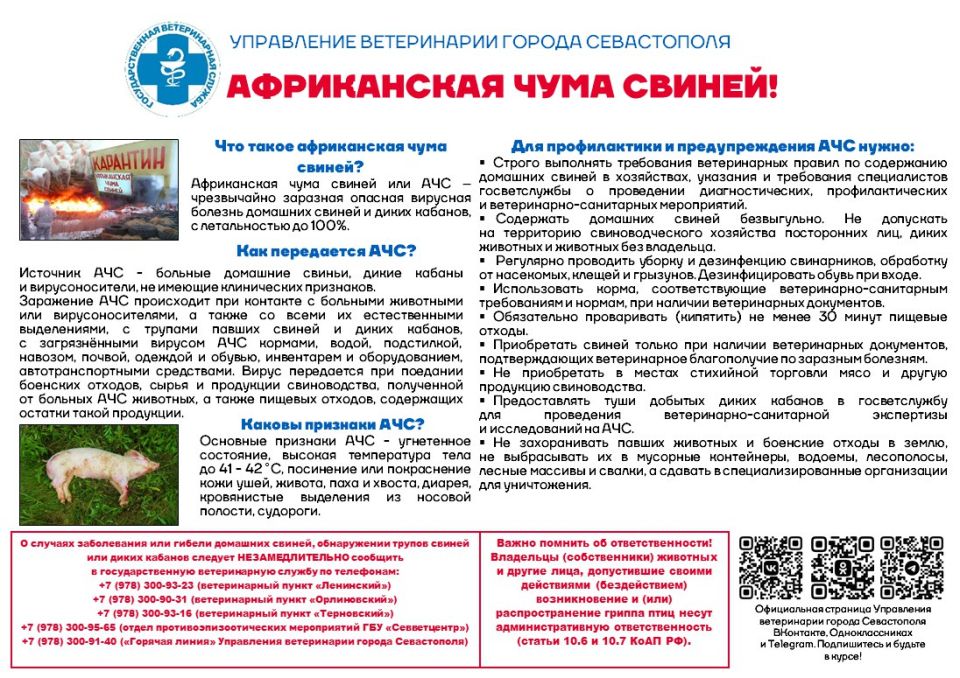 ���������� ����������� ������ ����������� ��������: