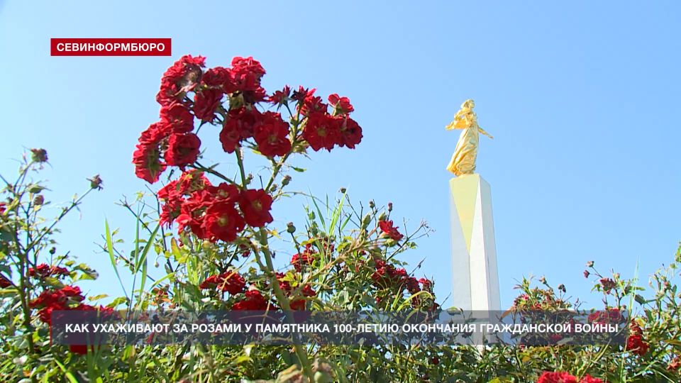��� ��������� �� ������ � ��������� 100-����� ��������� ����������� �����