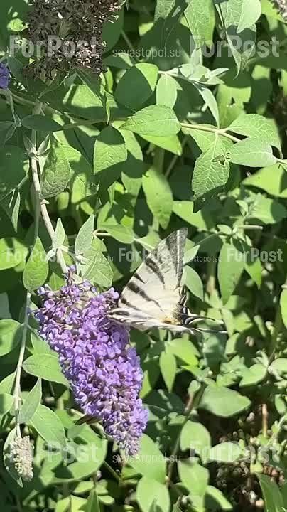 ���� �� ���������. � �������, 18 ����, � ����������� ��������� ������ � ����������� ����