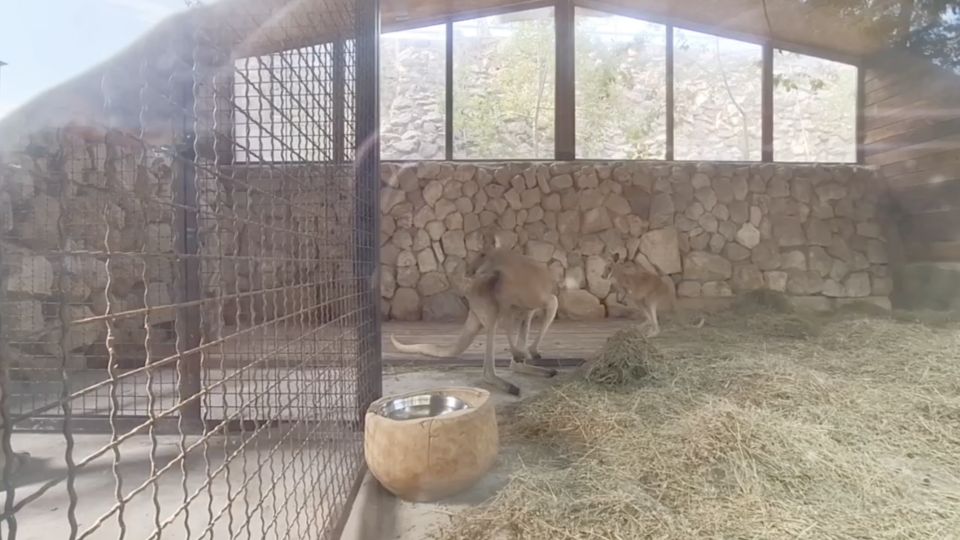 ����� ������� ��������������� ����� �������� ��������� � ����� ������