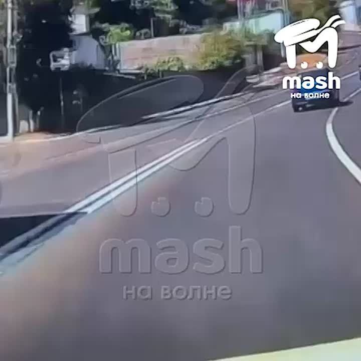         :       