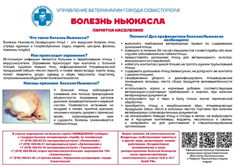 ���������� ����������� ������ ����������� ��������: