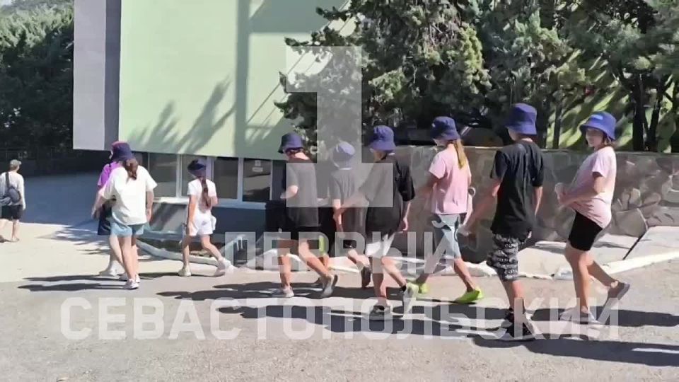 � ������ � �������� �������� �������������� �����������