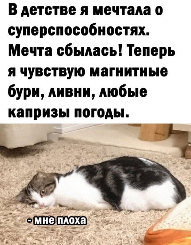 ��� ���������: ������� � ������ ����� ������� ��������� ����