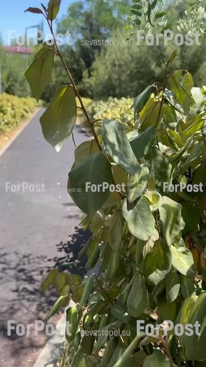 #_.   60-   ,    ,         