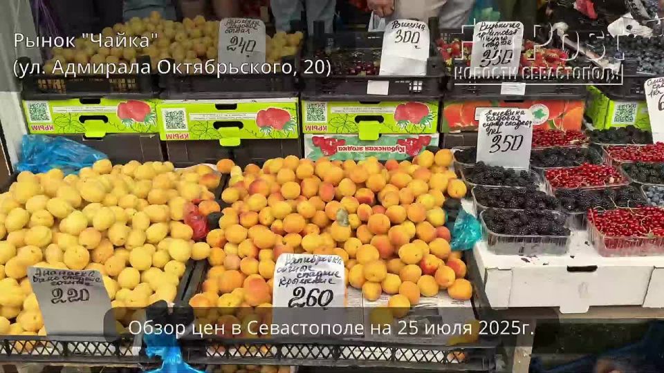 #. -     