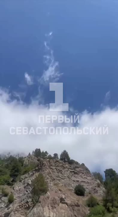  +36        