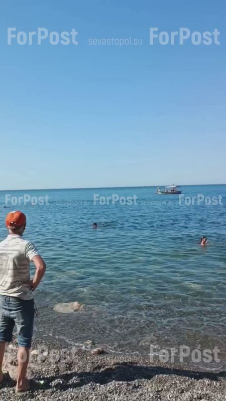     :  +37C  ,      