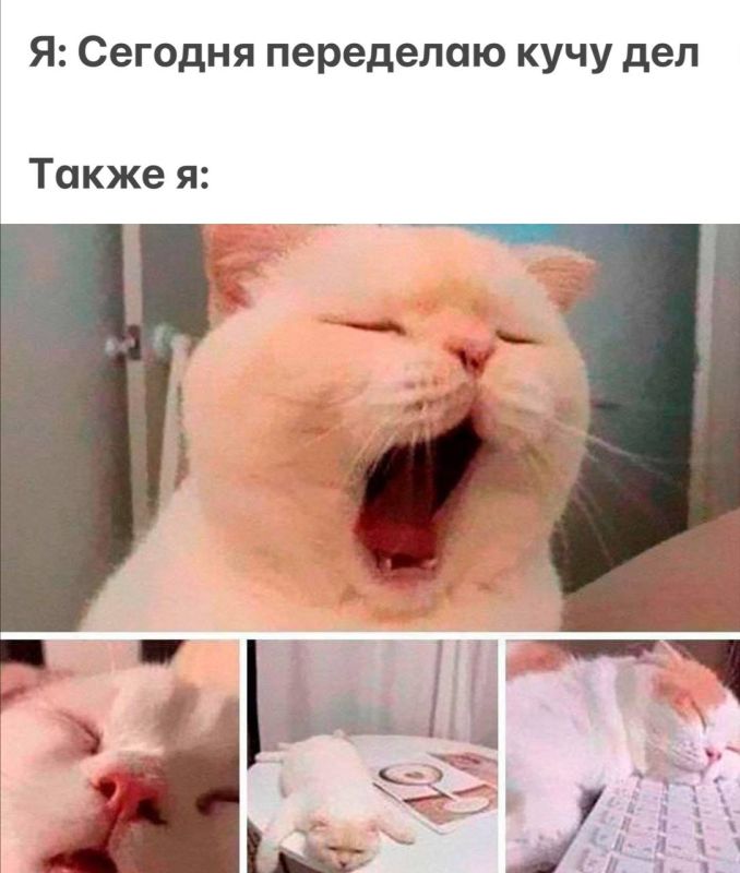 ������� ��������� ���� �� ������: 28 ���� � 3 �������