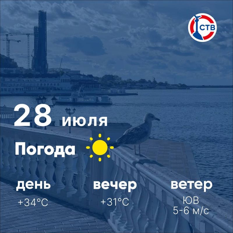  , !      +24C