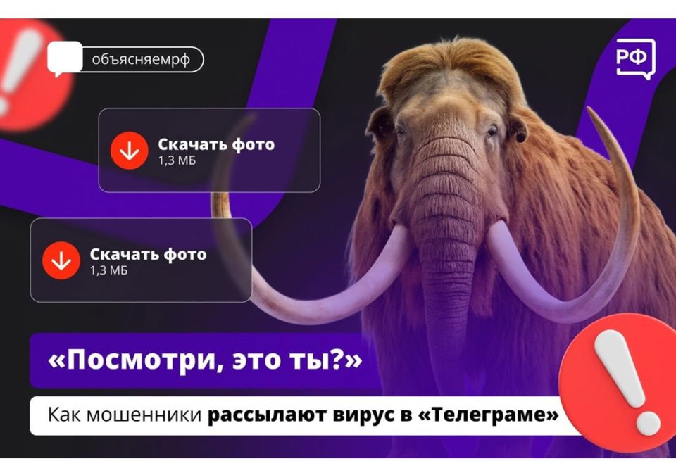:  Mamont  