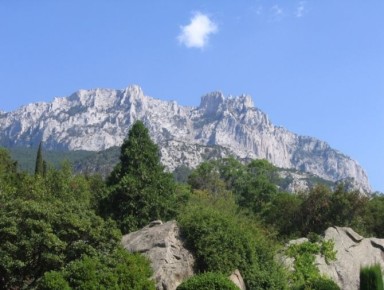     2000  