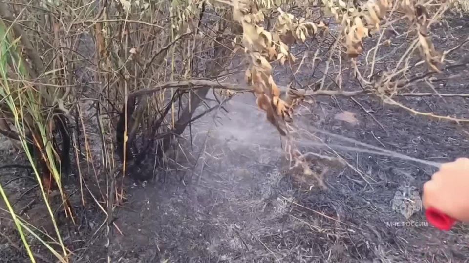 ������� ��� ������ ����� ���������� ����� � �����
