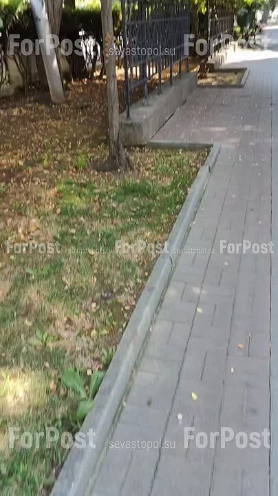 #_.            