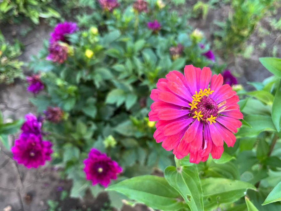 #  ?.  ,             