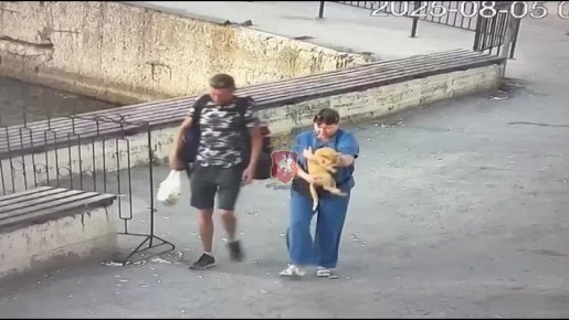      ,   