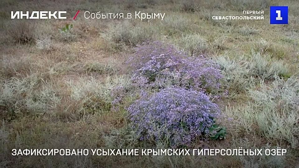 �������� ����������� ��� ����� ������������� ������ ����� ��. ������������