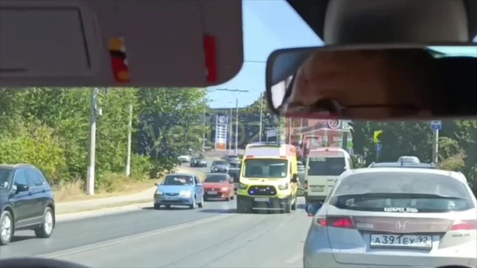 ��� � ������ �����������. �������� ����������
