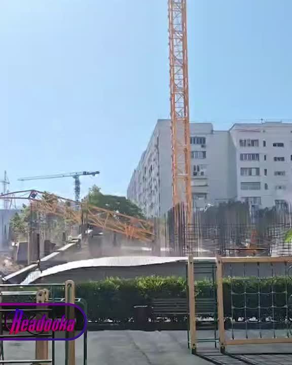 � ����������� ������ ������������ ���� � ���� ������� �����, ���� ����������