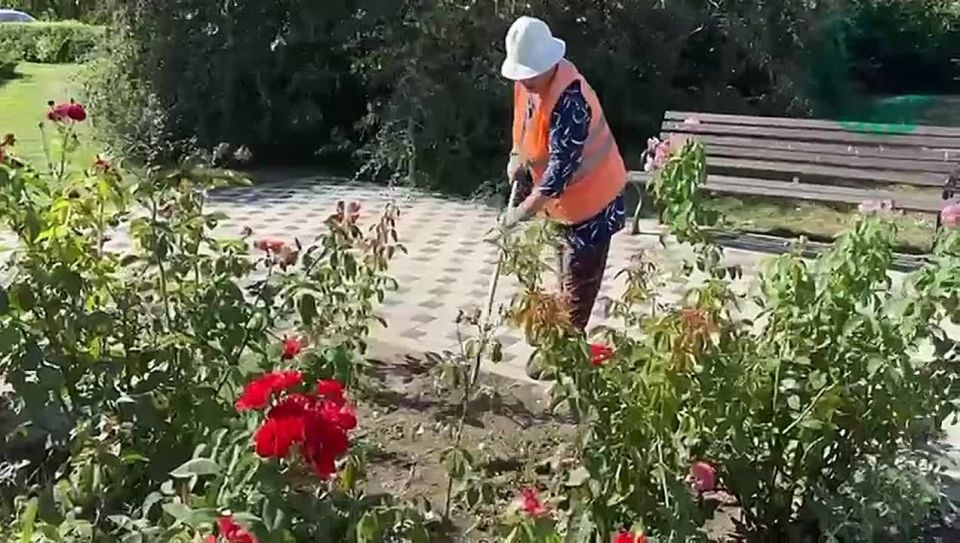 ����������� ������� � ������� ������� ������� � �������� ��� � ������� ������ � ����������� �������������
