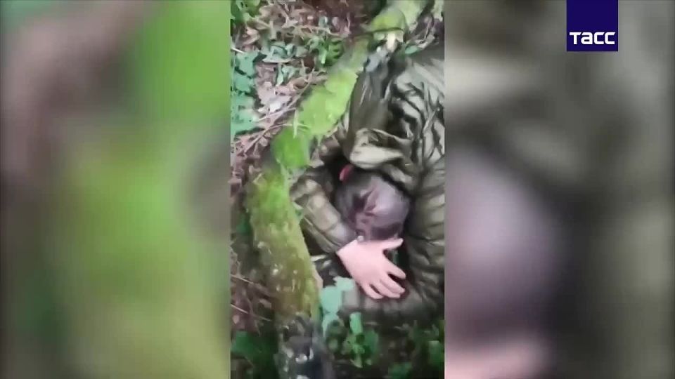 ����� ����������� � �������� ������� ���������� ����������� �������� �������� ��� � ���