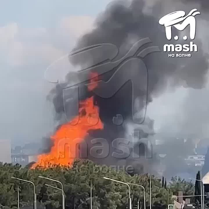 ����� ����� �������� ��������� � �����������