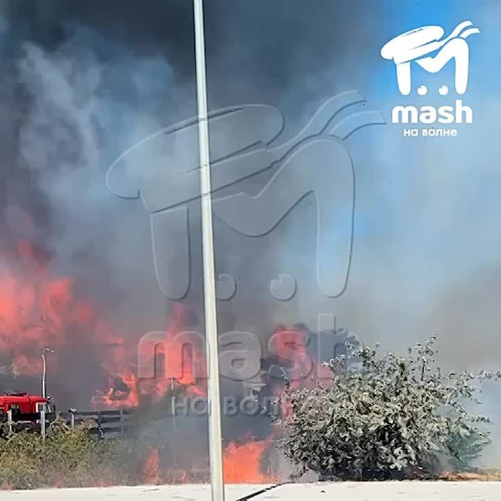 ��������������, ��� ������ �� ��������� ����� � ����������� ����� �� ���������