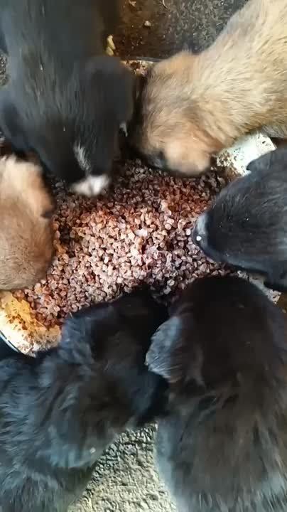  :    ?. ,  ,      ,   -