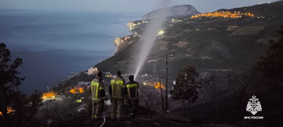 Ущерб от пожара на горе Кастель оценён в 14 млн рублей
