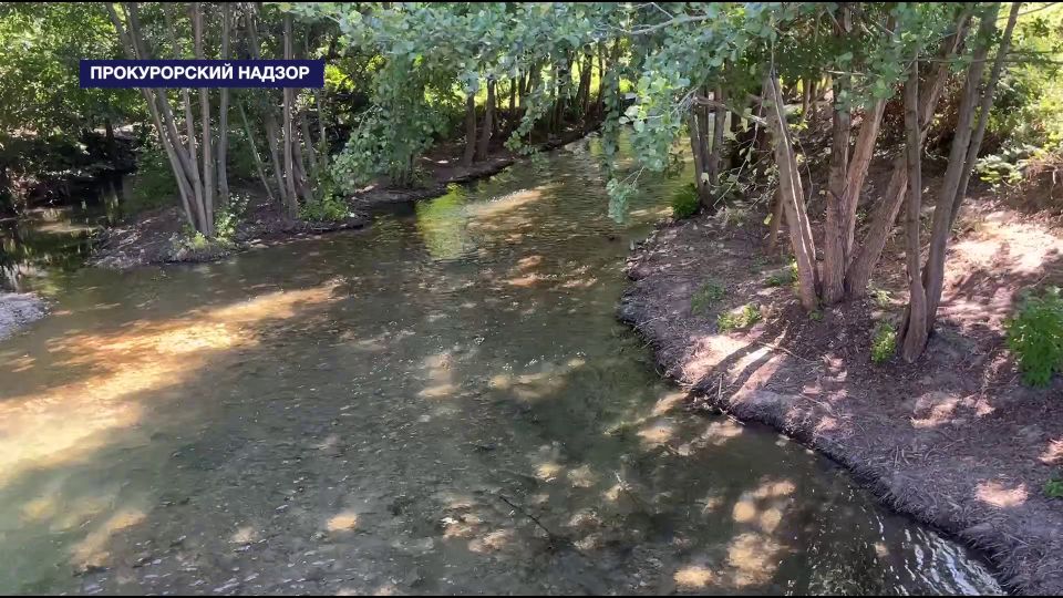 Наказали экстремиста и арендаторов, вырубивших деревья в Ласпи, – итоги работы Прокуратуры