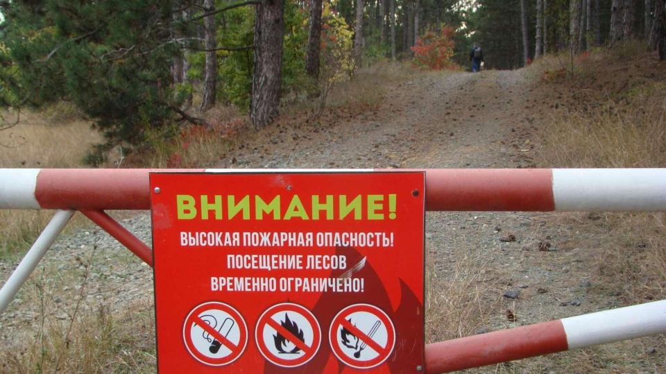 В Крыму чрезвычайная пожарная опасность будет сохраняться пять дней