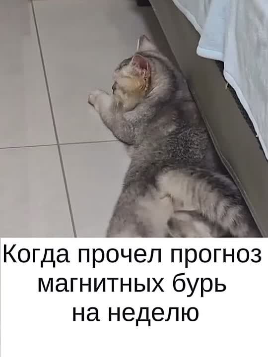 ������� ��������� ���� � 25 �� 31 �������