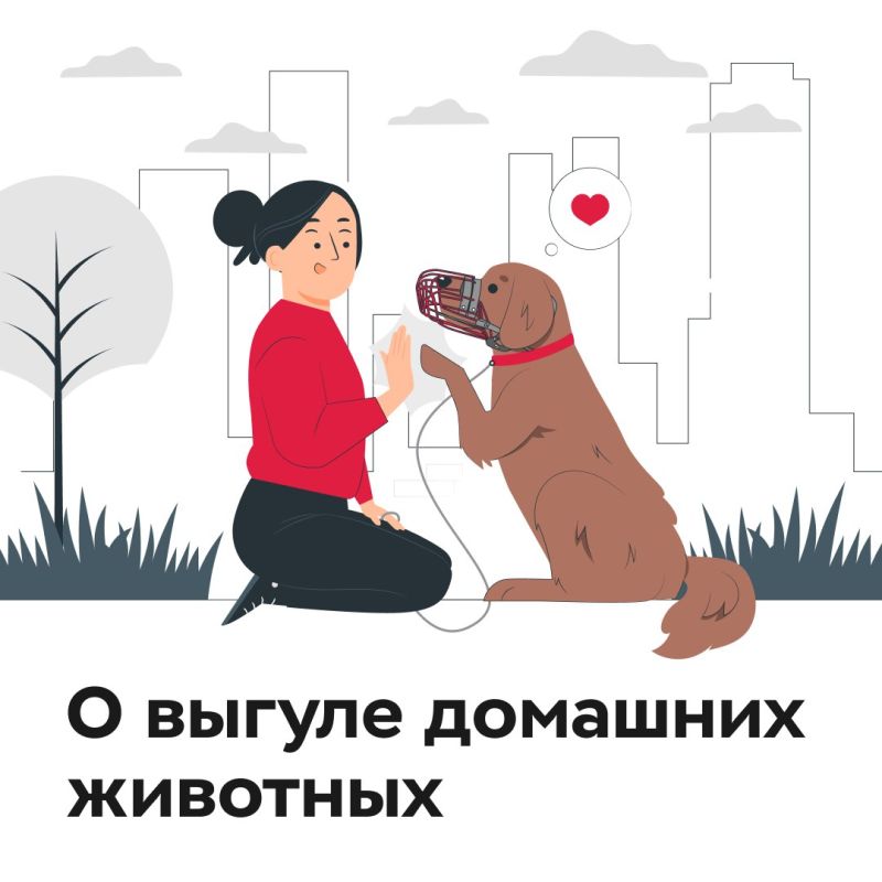 ����� �����: ������ �������!