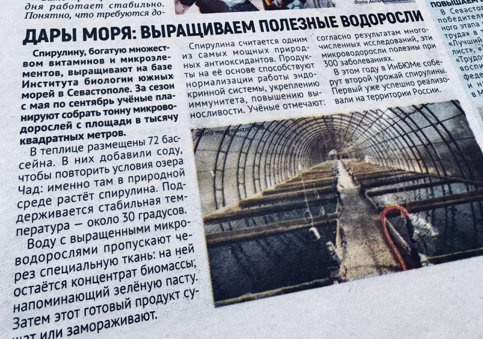 ���� ����: ���������� �������� ���������