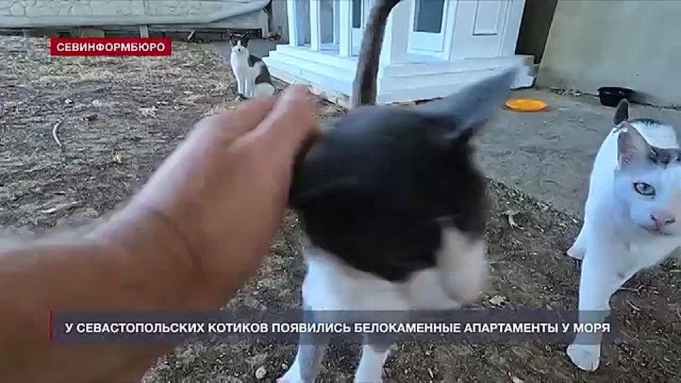 �������� ������� ������ ���� ��� ��������������� ������� �����